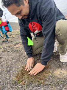 Volunteer Jaime Robles plants sagebrush near a popular hiking spot in Benton City, Wash., that burned the pervious summer. (Credit: Courtney Flatt, Northwest News Network)