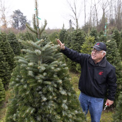 Gary Chastagner stands near a green fir tree while wearing a black WSU jacket and jeans.