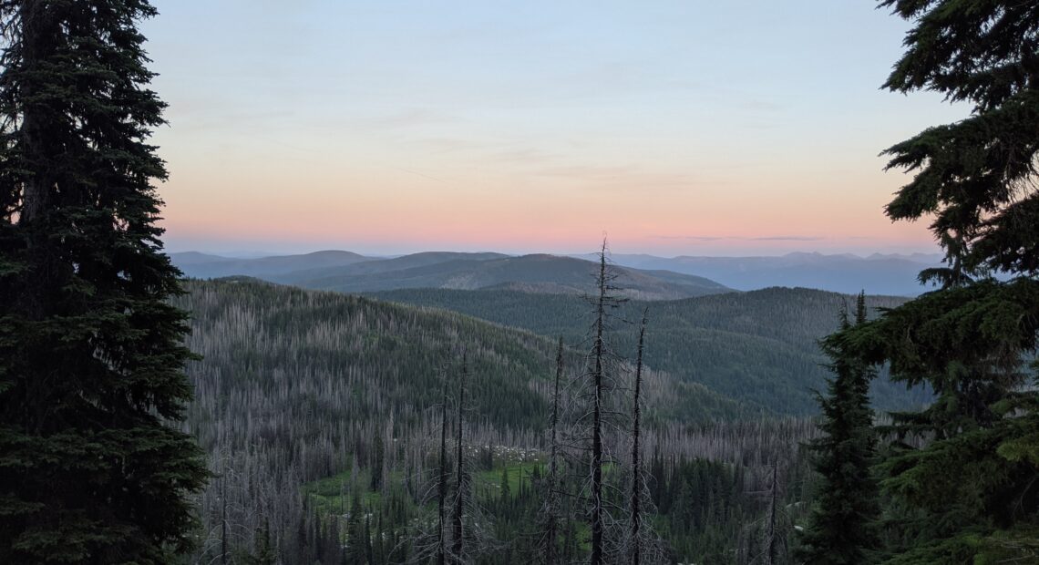 A sunrise over blue mountains. The mountains are dotted with evergreen trees.