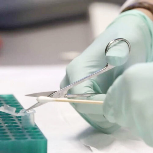 The Idaho State Police Forensic Services lab tests for DNA samples. The submission of rape kits for DNA collection is left entirely up to law enforcement discretion and the submission rates vary widely among police departments in Idaho. A new federal grant is helping to solve cold cases. (Credit: Idaho Press-Tribune via Idaho State Police via AP)