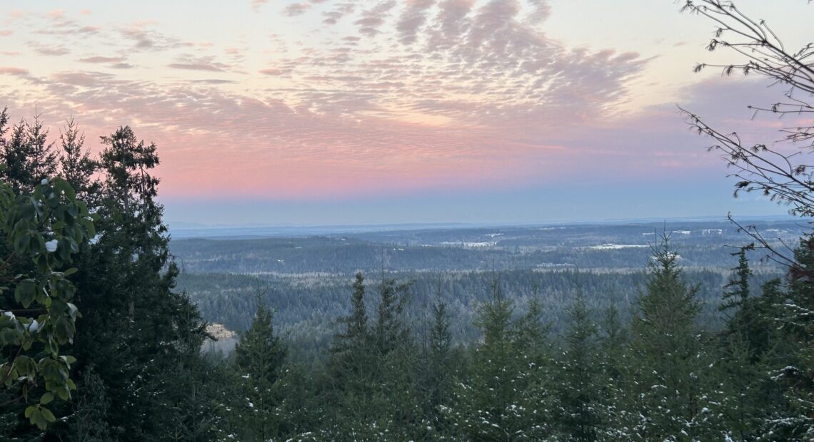 Snow and ice has blasted the lowlands lately but up high where it counts for the rest of the year, things are still a bit thin in parts of Washington and Oregon