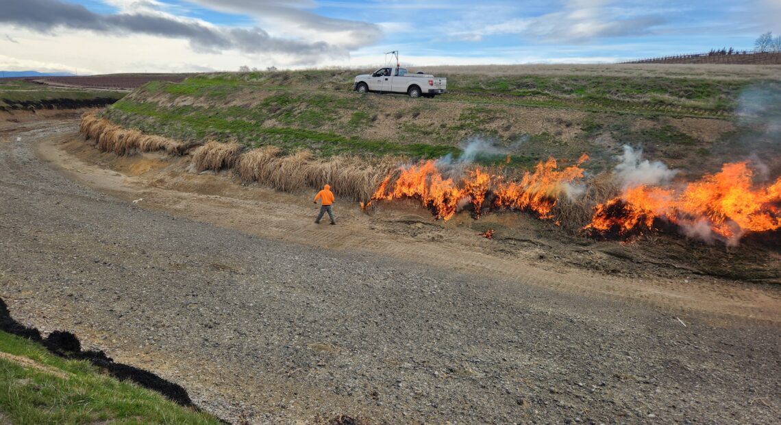 Workers clear canals of debris in preparation for spring irrigation season in the Roza Irrigation District. (Credit: Dave Rollinger)