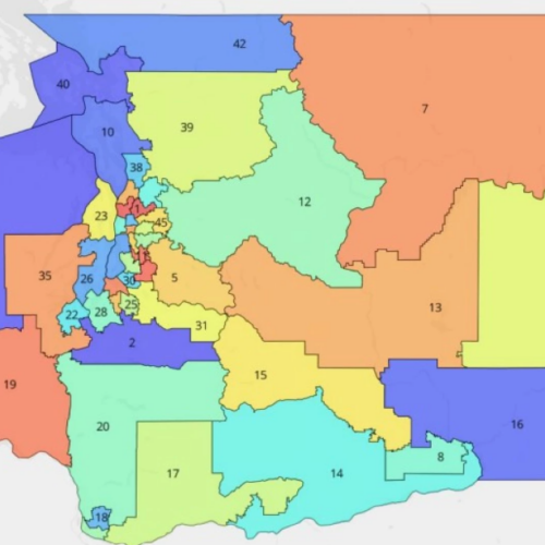 A federal judge ruled Friday, March 15, 2024 that this map adheres to the Voting Rights Act, teeing up changes for several current lawmakers and for voters in Central Washington. (Credit: Campaign Legal Center)