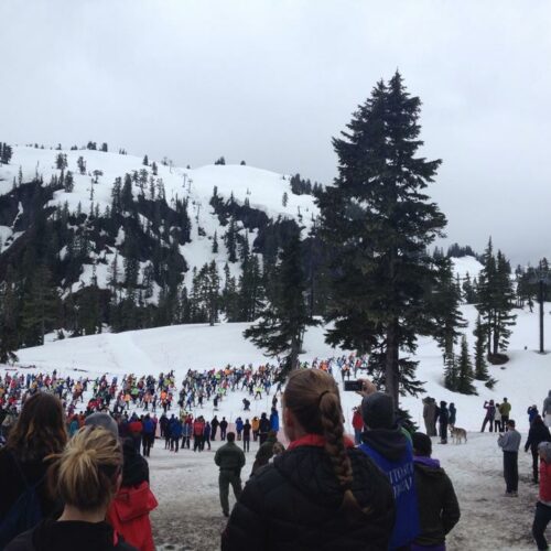 Cross country skiers line up at the start of the 2014 Ski to Sea race. (Credit: Courtney Flatt / Northwest News Network)