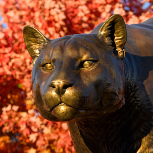 A Cougar statue at Washington State University in Pullman. A real-life cougar is suspected of killing several spring lambs at WSU this week. Officials are warning students, staff and faculty to be aware of their surroundings. (Credit: Washington State University)