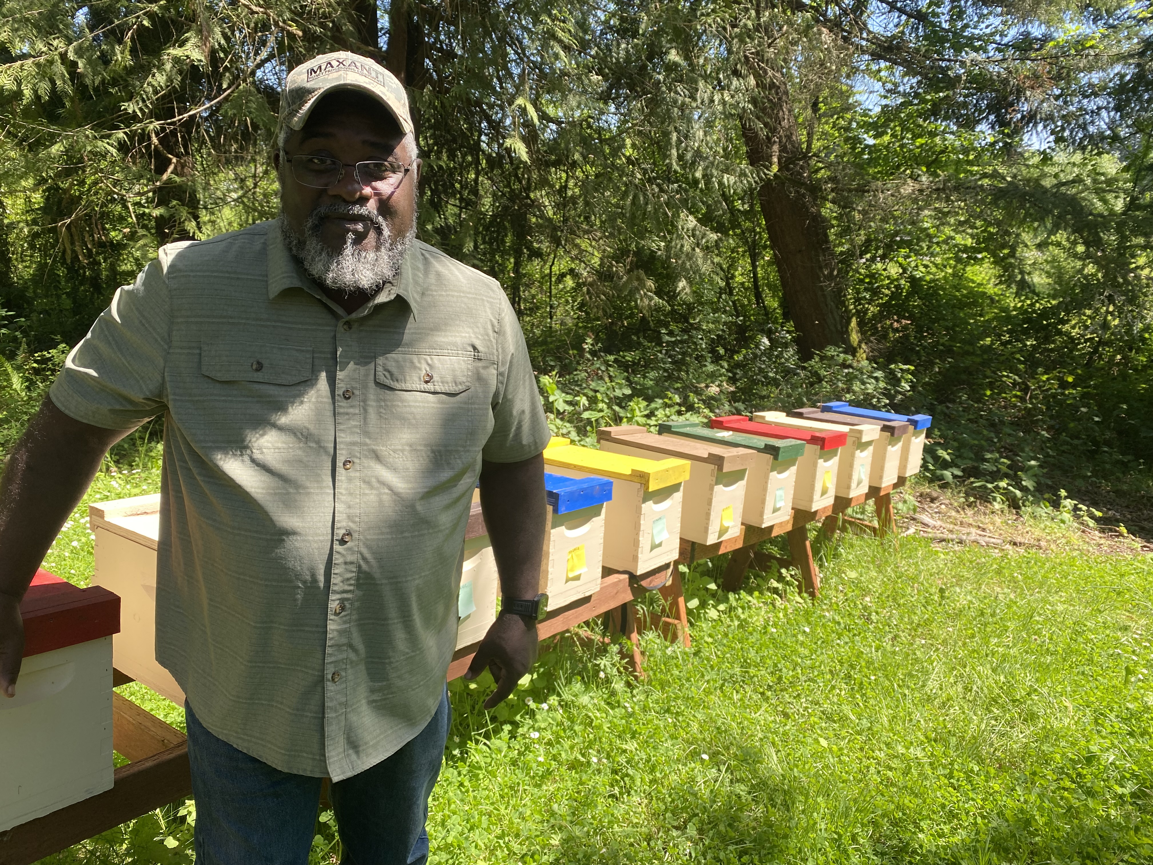 Alan Woods of Centralia shows off some of his bee colonies that he split last month after they came back from California.