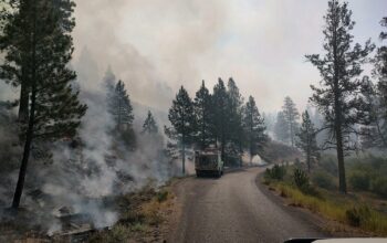 Fire crews working within the Falls fire in eastern Oregon.