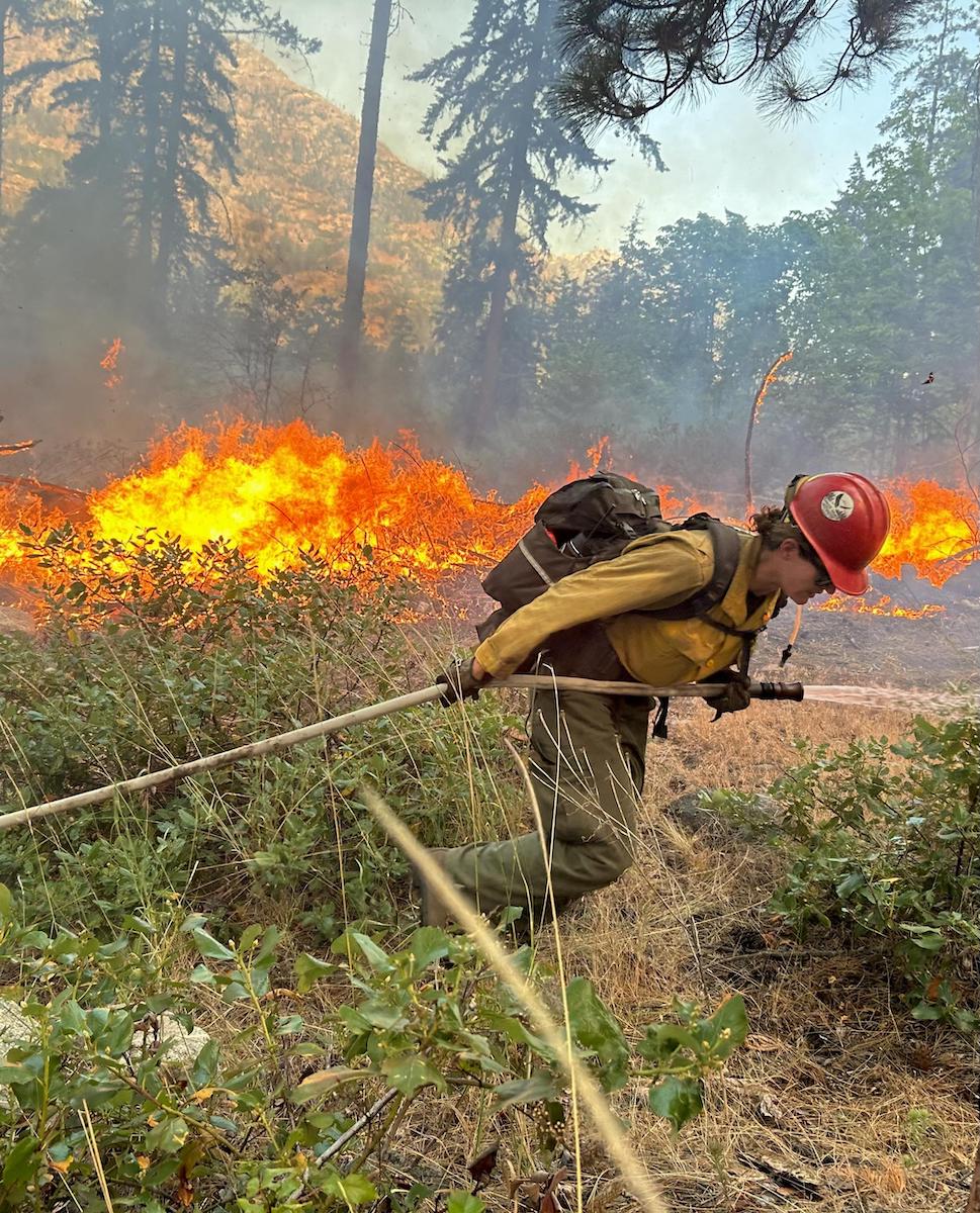 A firefighter works on the Pioneer fire in Chelan County. 