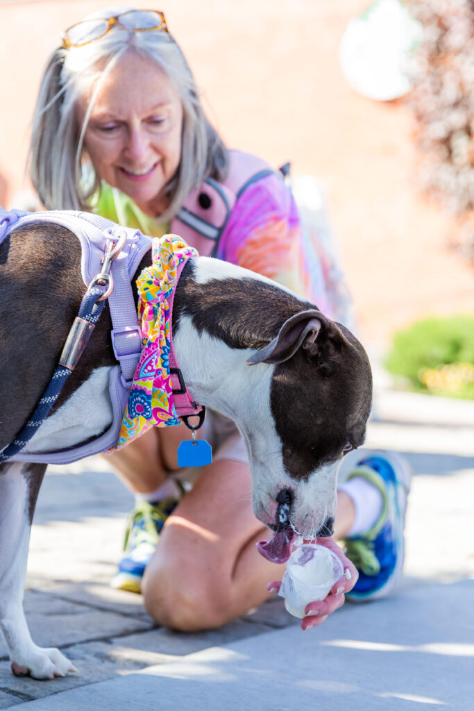 A woman gives a dog a pup cup.