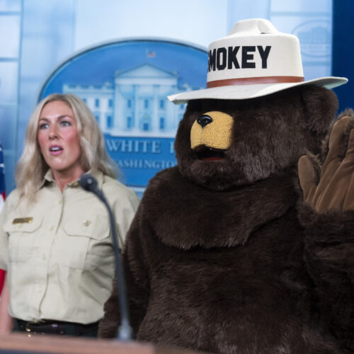 Smokey Bear stands next to a park ranger at a wooden podium next to an American flag.