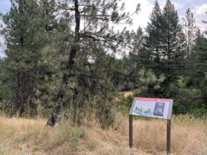 One of the many interpretive signs along Judy's Trail. (Credit: Phineas Pope / NWPB)