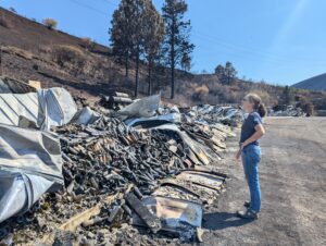 A woman in a blue shirt and jeans stands next to a pile of metal beside a burned hillside. 