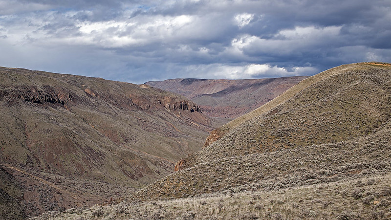 A vast expanse of shrub-steppe habitat is pictured. A blue sky with clouds is pictured above it.