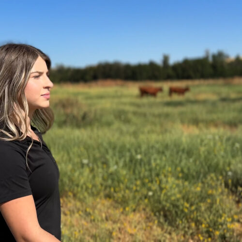 WWCC ag student stands in a field with cattle in the background