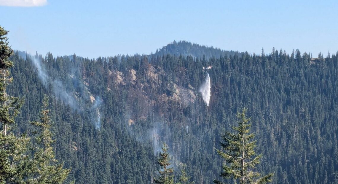 A helicopter drops water on a forest.