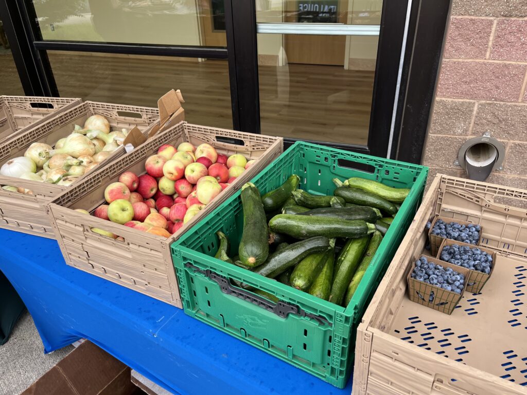 Four crates of fruits and vegetables are pictured on a blue table. One crate holds onions. Another has apples. A third crate contains zucchinis. The fourth crate has three containers of blueberries.