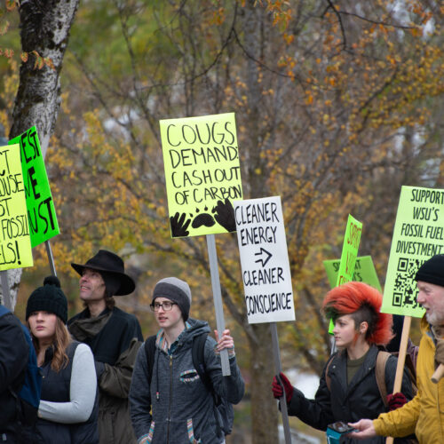 A group of people are walking, carrying brightly colored signs. Some of them read "Cougs demand cash out of carbon" and "Support WSU's fossil fuel divestment."