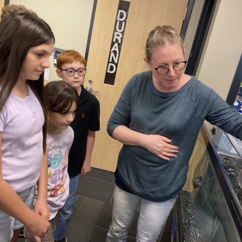 A woman pours salmon eggs into a tank. Several students watch her.