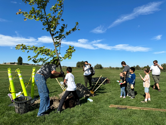 Nirbhuy Arun helps place a tree in a hole. Next, students at Tapteal Elementary School will help pack dirt in the hole. (Credit: Courtney Flatt / NWPB)