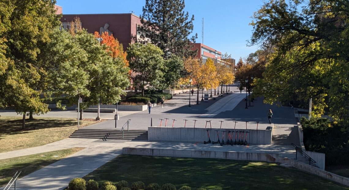 Students walk through a space with cement pathways and green trees on the WSU campus. The sky is blue.