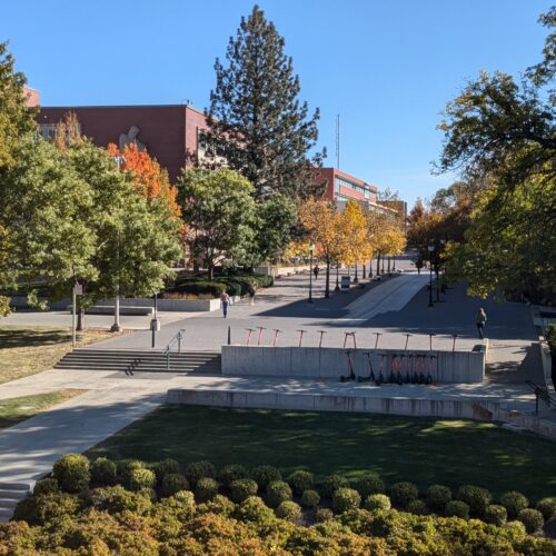 Students walk through a space with cement pathways and green trees on the WSU campus. The sky is blue.