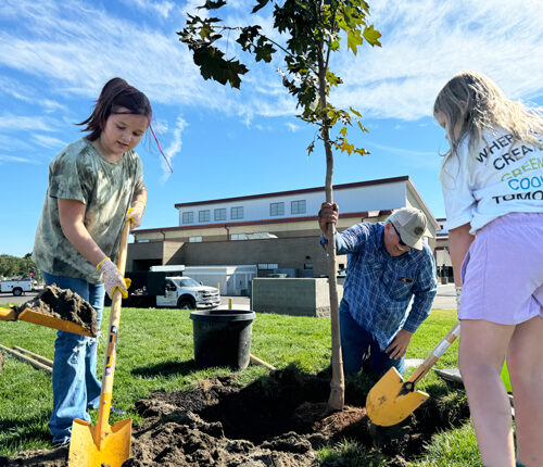 A girl in a green shirt and a girl in a white shirt are holding yellow shovels. They are scooping dirt into a hole where a man in a blue shirt is holding onto a tree they are planting. In the background, there is a school building.