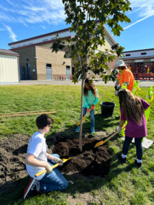 A boy in a white shirt, a girl in a green shirt and another girl in a purple shirt are digging dirt to put in a whole where they've planted a tree. They are all holding shovels with wooden handles. The tree is a little taller than them with green leaves. A man in a neon orange worker's shirt looks on. A school is in the background.